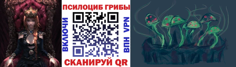 Галлюциногенные грибы Magic Shrooms  как найти закладки  Дмитриев 