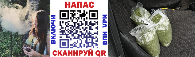 МАРИХУАНА план  Дмитриев 
